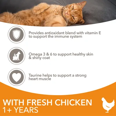 Engelsk text: Provides antioxidant blend with vitamin E, Omega 3 & 6 to support healthy skin & shiny coat, Taurine helps to support a strong heart muscle. With fresh chicken 1+ years.