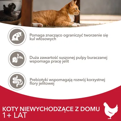 Koty niewychodzące z domu 1+ lat. Pomaga ograniczyć kulki włosowe, suszona pulpa buraczana wspomaga pracę jelit, prebiotyki wspierają florę jelitową.