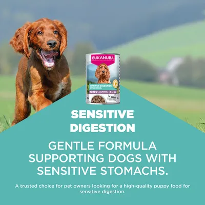 Eukanuba Puppy Sensitive Digestion kana Eukanuba Puppy Sensitive Digestion kana