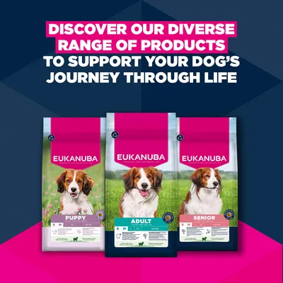 Eukanuba Premium Nutrition Adult Small & Medium Breed karitsa & riisi