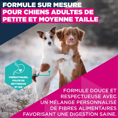 Eukanuba Premium Nutrition Adult Small et Medium Breed Agneau et Riz