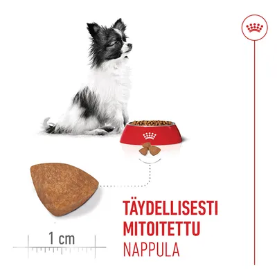 Kroketin muoto ja koko mittakaavassa 1 cm, punainen ruokakuppi, jossa ruokaa, koira vieressä. Teksti: 'Täydellisesti mitoitettu nappula'.