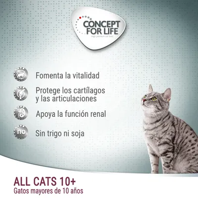 Concept for Life. Fomenta la vitalidad, protege los cartílagos y las articulaciones, apoya la función renal, sin trigo ni soja. ALL CATS 10+, gatos mayores de 10 años.