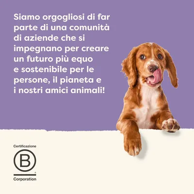Siamo orgogliosi di far parte di una comunità di aziende che si impegnano per un futuro più equo e sostenibile per le persone, il pianeta e gli animali. Certificazione P Corporation. Siamo orgogliosi di far parte di una comunità di aziende che si impegnano per un futuro più equo e sostenibile per le persone, il pianeta e gli animali. Certificazione P Corporation.