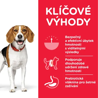 KĽÚČOVÉ VÝHODY: Bezpečný a efektívny úbytok hmotnosti s viditeľnými výsledkami, podpora dlhodobého udržania zdravej hmotnosti, prebiotická vláknina pre šetrné zažívanie.