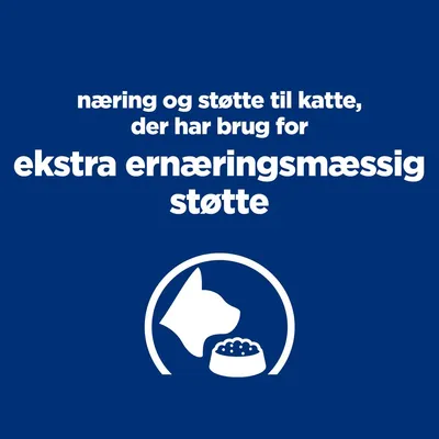 næring og støtte til katte, der har brug for ekstra ernæringsmæssig støtte