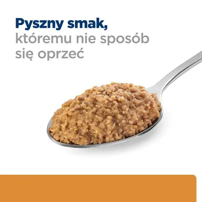 Pyszny smak, któremu nie sposób się oprzeć – widoczny napis oraz łyżka z mokrą karmą dla zwierząt.