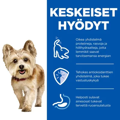 Keskeiset hyödyt: oikea yhdistelmä proteiineja, rasvoja ja hiilihydraatteja; tehokas antioksidanttien yhdistelmä; helposti sulavat ainesosat tukevat ruoansulatusta.