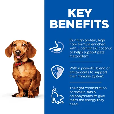 KEY BENEFITS: Our high protein, high fibre formula enriched with L-carnitine & coconut oil helps support pets’ metabolism. With a powerful blend of antioxidants to support their immune system. The right combination of protein, fats & carbohydrates to give them the energy they need. (angol nyelvű szöveg)