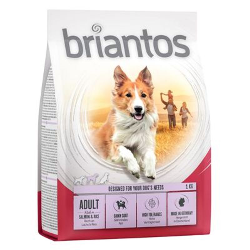 Briantos Adult Zalm & Rijst Hondenvoer