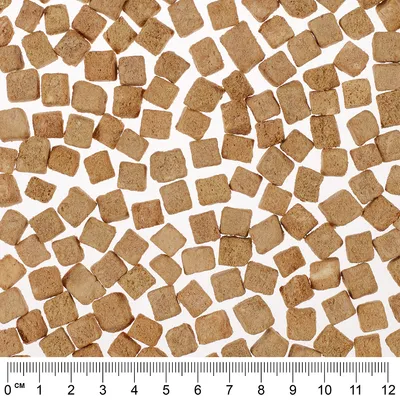 Close-up of brown, square dry food pieces with a centimetre scale at the bottom edge of the image.