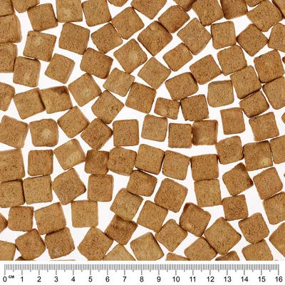 Brown, square dry food pieces with a centimetre scale for size determination.