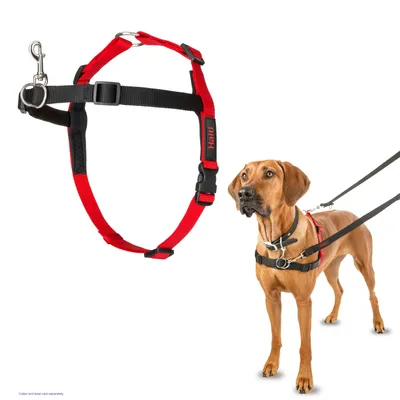 Red and black harness shown separately and worn by a dog, demonstrating how the harness fits and attaches to a lead for walking.
