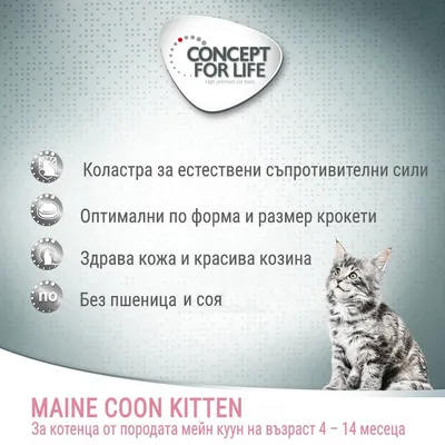 Concept for Life. Коластра за естествени съпротивителни сили, оптимални по форма и размер крокети, здрава кожа и красива козина, без пшеница и соя. Maine Coon Kitten 4–14 месеца.