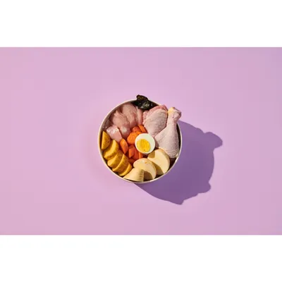 Bowl containing raw chicken pieces, a chicken drumstick, sliced carrots, sweet potato, parsnip, half a boiled egg and a dark dried piece, displayed on a purple background.
