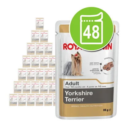 Royal Canin Yorkshire Terrier Adult Mousse