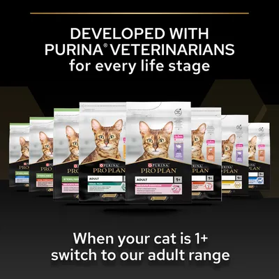 Text: Developed with Purina veterinarians for every life stage. When your cat is 1+ switch to our adult range. Flera påsar Purina Pro Plan kattmat för olika behov synliga.