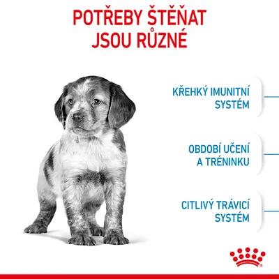 Text: POTŘEBY ŠTĚŇAT JSOU RŮZNÉ. KŘEHKÝ IMUNITNÍ SYSTÉM, OBDOBÍ UČENÍ A TRÉNINKU, CITLIVÝ TRÁVICÍ SYSTÉM. Značka Royal Canin dole.