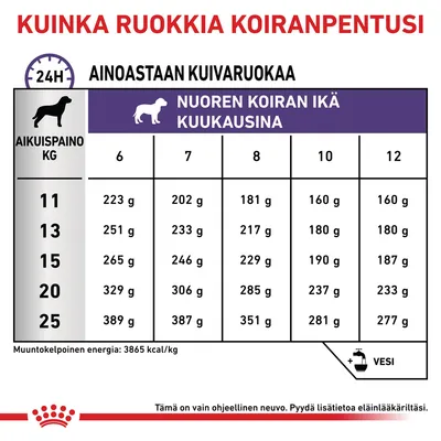 Ruokintaohje koiranpennulle: taulukko näyttää päivittäiset kuivaruoan määrät (g) aikuispainon (11–25 kg) ja iän (6–12 kk) mukaan. Esim. 20 kg, 6 kk: 329 g, 12 kk: 233 g.