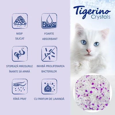 Tigerino Crystals. Nisip silicat, foarte absorbant, stopează mirosurile înainte să apară, inhibă proliferarea bacteriilor, fără praf, cu parfum de lavandă.