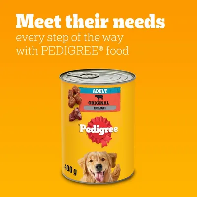 Text reads: Meet their needs every step of the way with PEDIGREE food. Image shows a 400g can labelled Adult Original in Loaf, Pedigree.