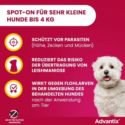 Advantix Spot-On für sehr kleine Hunde bis 4 kg. Schützt vor Parasiten (Flöhe, Zecken, Mücken), reduziert Risiko der Leishmaniose-Übertragung, wirkt gegen Flohlarven. Nicht bei Katzen anwenden.