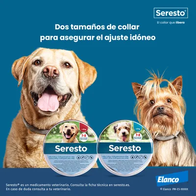 Seresto. Dos tamaños de collar para perros, visible en envases: para más de 8 kg y hasta 8 kg. Marca Elanco. Texto: 'El collar que libera'.
