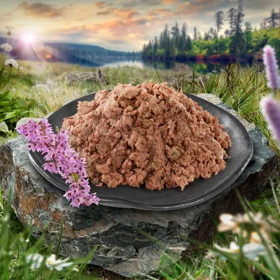 Assiette de pâtée pour animaux posée sur une pierre, décor naturel en arrière-plan avec fleurs violettes visibles au premier plan. Aucun emballage ou marque visible.