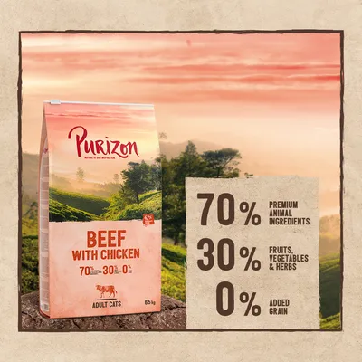 Purizon Beef with Chicken Adult Cats 6,5 kg. 70% premium dierlijke ingrediënten, 30% fruit, groenten & kruiden, 0% toegevoegde granen. Tekst in het Engels zichtbaar op verpakking en naast product.