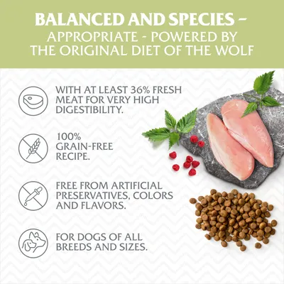 Text v angličtine: With at least 36% fresh meat, 100% grain-free recipe, free from artificial preservatives, colors and flavors, for dogs of all breeds and sizes. Zobrazené granule a kuracie mäso.