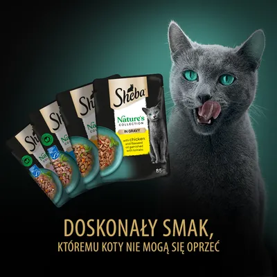 Sheba Nature's Collection In Gravy, saszetki 85 g. Widoczny tekst: Doskonały smak, któremu koty nie mogą się oprzeć. Opakowania karmy i szary kot z wyciągniętym językiem.