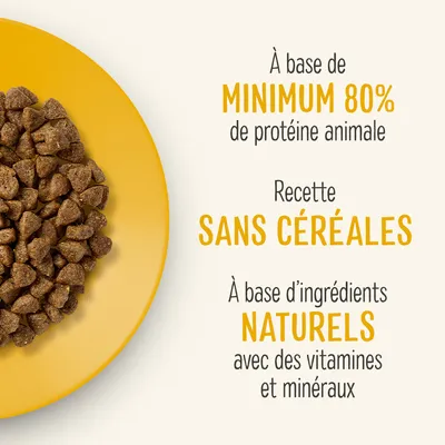 À base de minimum 80 % de protéine animale, recette sans céréales, à base d’ingrédients naturels avec des vitamines et minéraux.