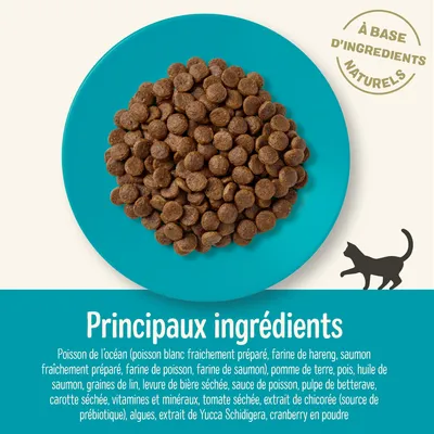 Principaux ingrédients : poisson de l’océan, pomme de terre, pois, huile de saumon, graines de lin, vitamines et minéraux, extrait de chicorée, algues. À base d’ingrédients naturels.
