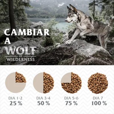 Tabla de transición a Wolf of Wilderness: día 1–2 25 %, día 3–4 50 %, día 5–6 75 %, día 7 100 %. Texto: Cambiar a Wolf of Wilderness. Imagen de perro tipo lobo en bosque.
