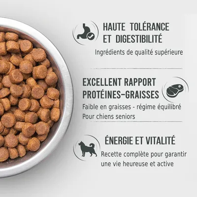 Bol de croquettes et texte : haute tolérance et digestibilité, ingrédients de qualité supérieure ; excellent rapport protéines-graisses, faible en graisses, pour chiens seniors ; énergie et vitalité.