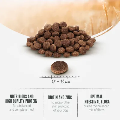 Dry food kibbles, size 12-13 mm. Contains high-quality protein for balanced nutrition, biotin and zinc for skin and coat, and fibre for optimal gut flora.