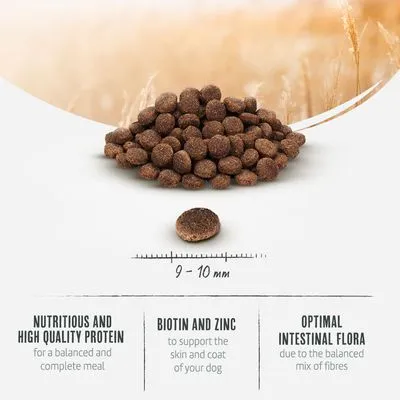 Briantos Adult Mini Lam & Rijst Hondenvoer