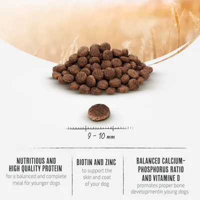 Dry food kibbles, size 9-10 mm. Contains high-quality protein, biotin and zinc for skin and coat, balanced calcium-phosphorus ratio and vitamin D for bone development.