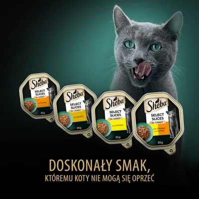 Cztery opakowania Sheba Select Slices in Gravy 85 g: with turkey, with poultry, with chicken, with chicken and turkey. Napis: Doskonały smak, któremu koty nie mogą się oprzeć.