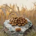 Purizon Ancient Grains Adult Sterilised Chicken & Fish - med urkorn