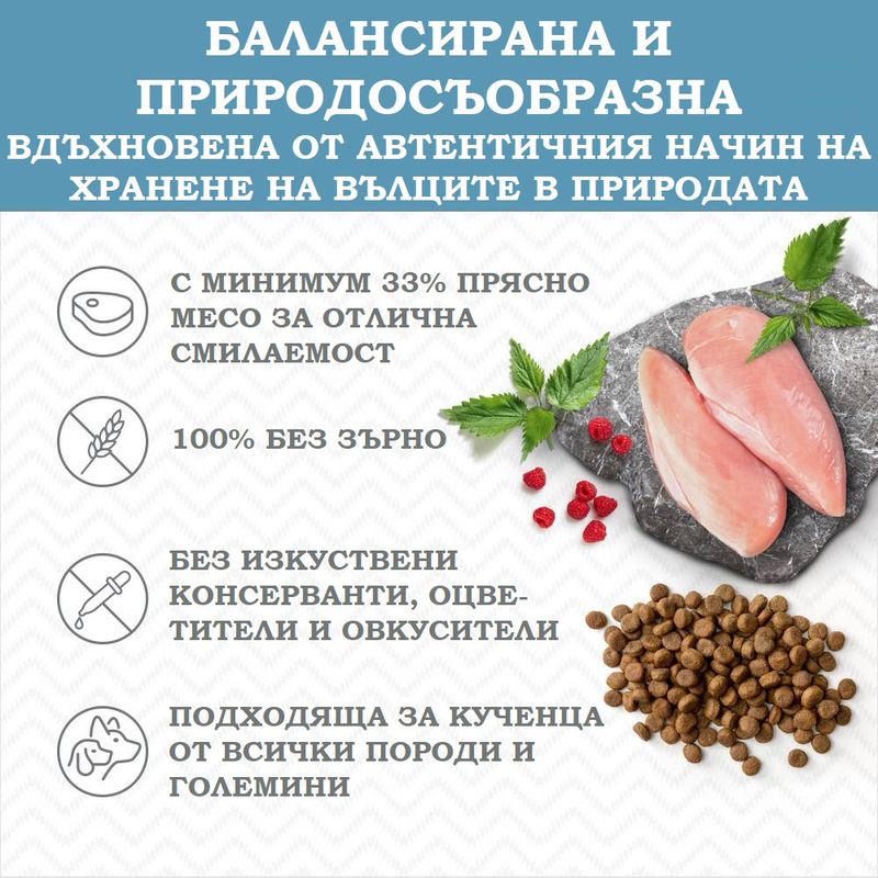 Wolf of Wilderness Junior Blue River със сьомга, без зърно