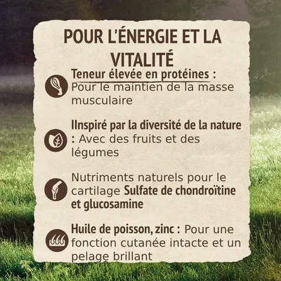 Pour l’énergie et la vitalité : teneur élevée en protéines, fruits et légumes, sulfate de chondroïtine et glucosamine, huile de poisson, zinc. Texte en français. Pour l’énergie et la vitalité : teneur élevée en protéines, fruits et légumes, sulfate de chondroïtine et glucosamine, huile de poisson, zinc. Texte en français.