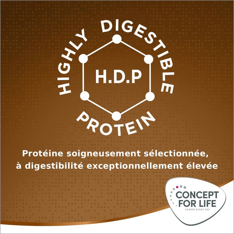 Concept for Life Medium Senior pour chien