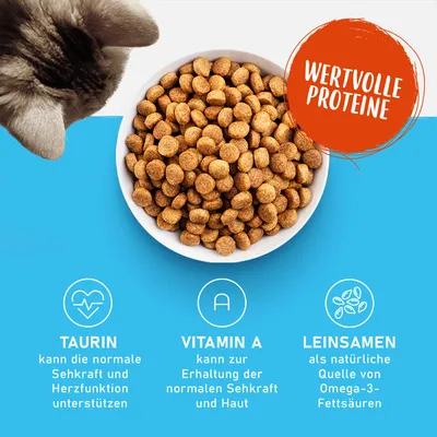 Schüssel mit Trockenfutter. Wertvolle Proteine hervorgehoben. Taurin unterstützt Sehkraft und Herzfunktion, Vitamin A für Haut und Sehkraft, Leinsamen als Omega-3-Quelle.
