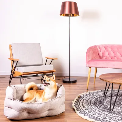 Dog lying in a grey dog bed in a modern living room with armchair, floor lamp and carpet.