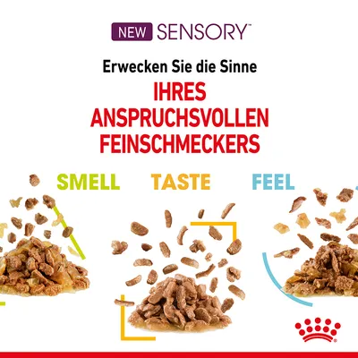 New Sensory. Erwecken Sie die Sinne Ihres anspruchsvollen Feinschmeckers: Smell, Taste, Feel. Drei Haufen mit Futterstücken und Sosse dargestellt.