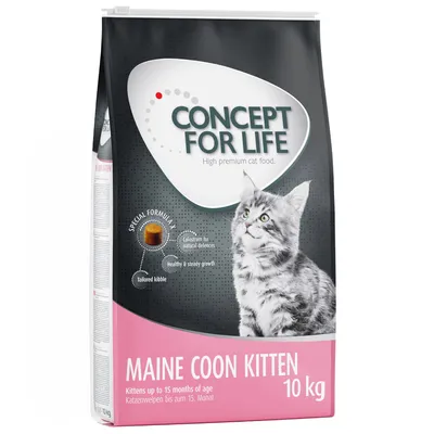 Sac Concept for Life Maine Coon Kitten 10 kg, alimentation pour chatons jusqu’à 15 mois. Texte visible : High premium cat food, Special formula, Colostrum for natural defences, Healthy & steady growth.