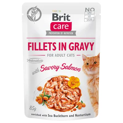 Brit Care Fillets in Gravy for adult cats con Savory Salmon, 85g. No GMO, soia o zucchero. Arricchito con olivello spinoso e nasturzio. Immagine di gatto e ciotola con filetti.