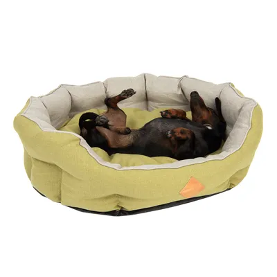 Hundeseng i lysegrøn og beige stof med lille sort/brun hund, der ligger på ryggen i sengen. Synlig lædermærke foran.