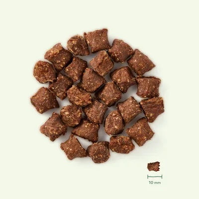 Nahaufnahme von braunen, würfelförmigen Snacks mit einer Grösse von etwa 10 mm. Einzelstück unten rechts mit Massstab dargestellt.